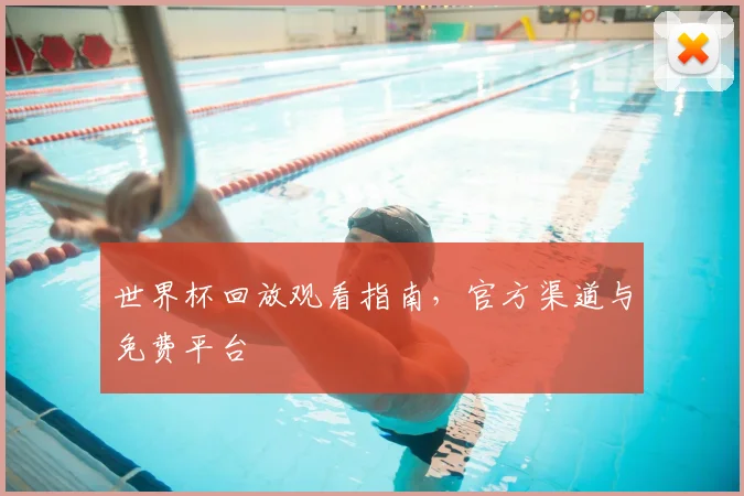 世界杯回放观看指南,官方渠道与免费平台