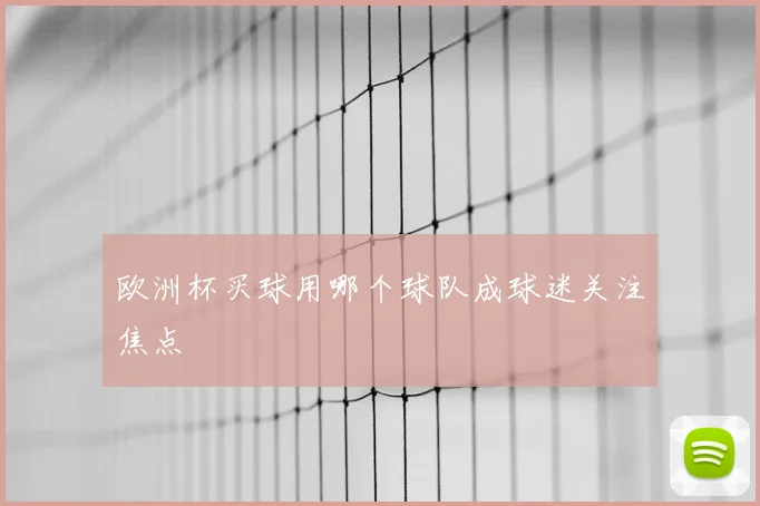 欧洲杯买球用哪个球队成球迷关注焦点